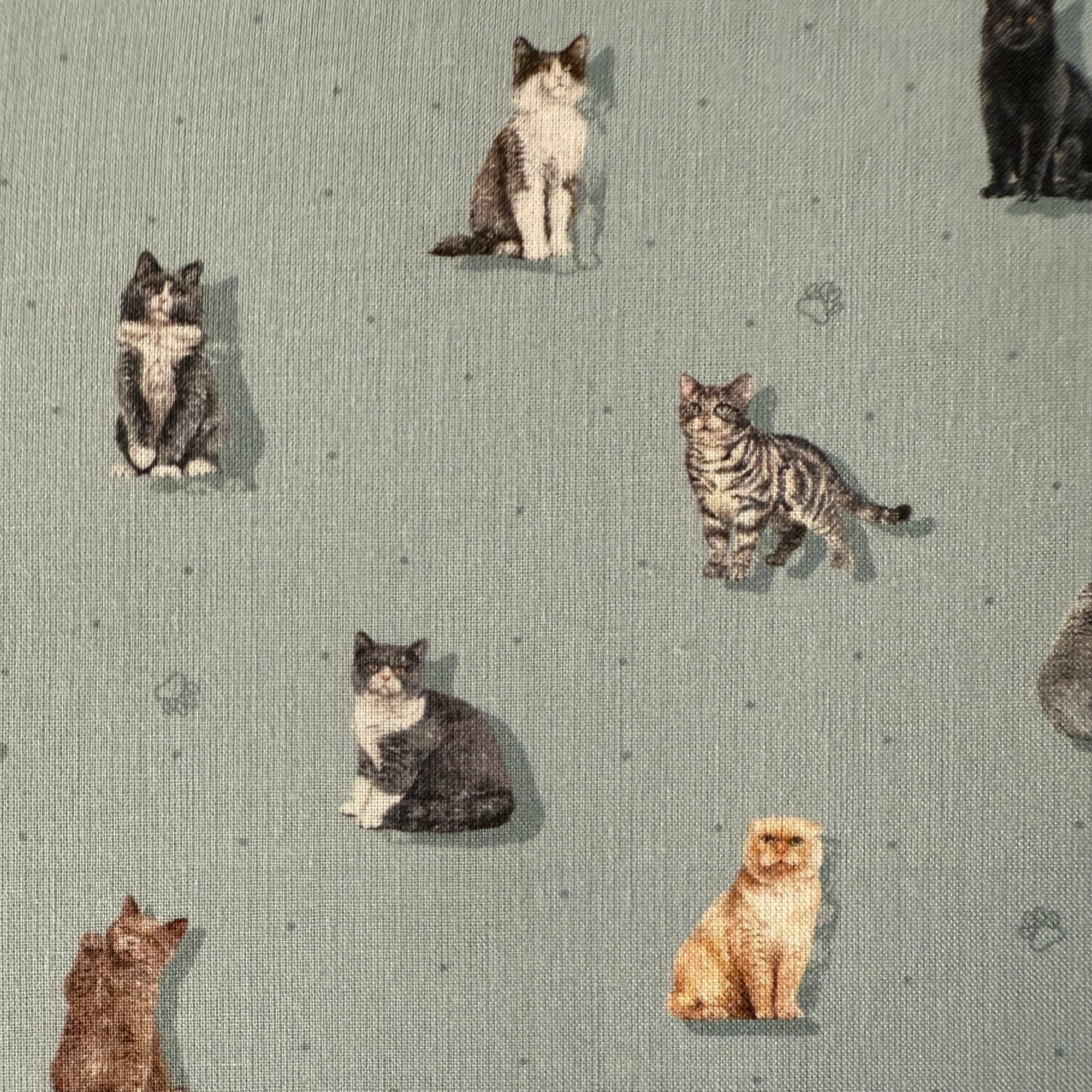 TELA ALGODON MUST GATOS