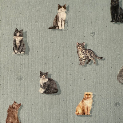 TELA ALGODON MUST GATOS