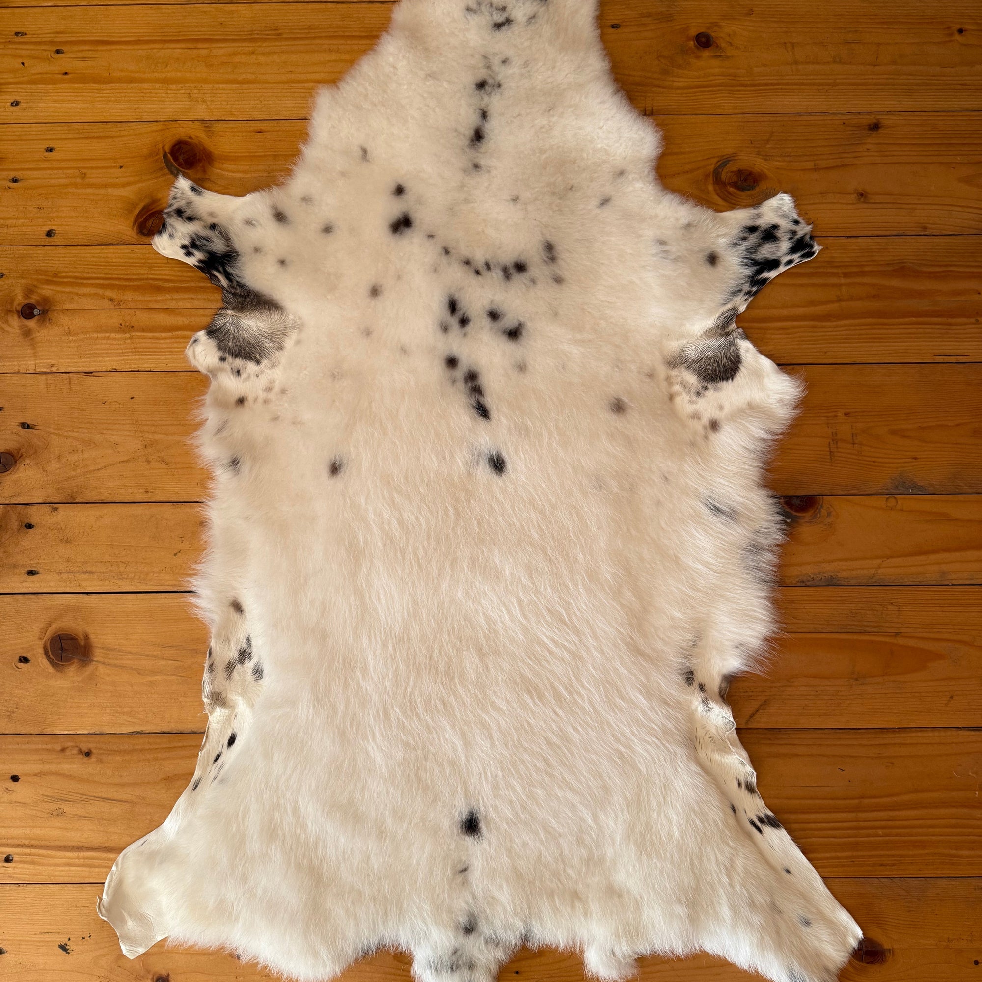 PIEL DE CORDERO (BORREGUITO) CURTIDA SIN QUÍMICOS