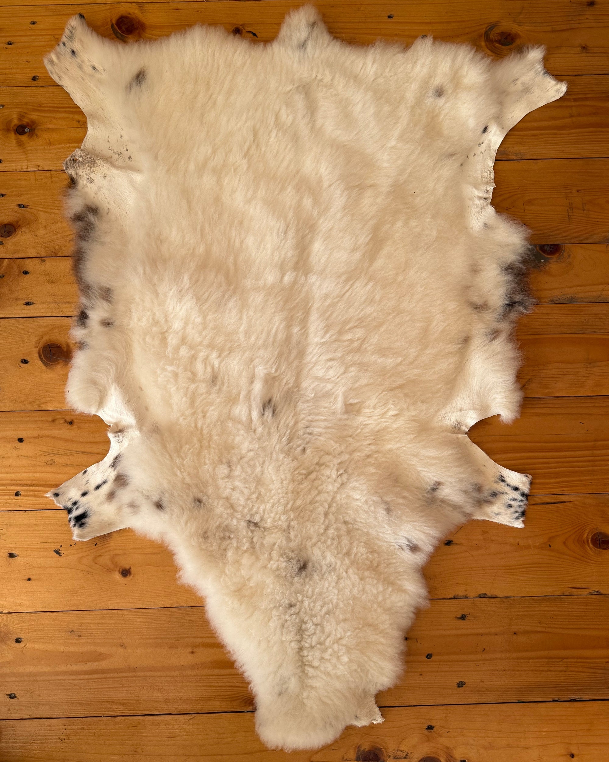 PIEL DE CORDERO (BORREGUITO) CURTIDA SIN QUÍMICOS