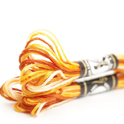 Mouliné Especial Finca 100% algodón colores matizados 0005M