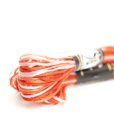 Mouliné Especial Finca 100% algodón colores matizados 0005M