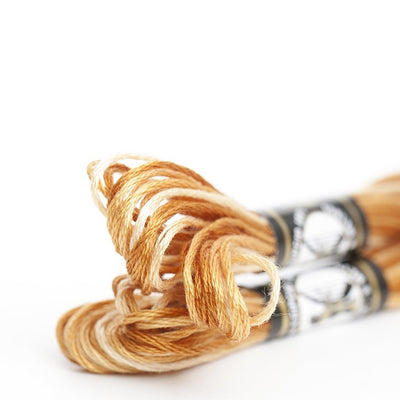 Mouliné Especial Finca 100% algodón colores matizados 0005M