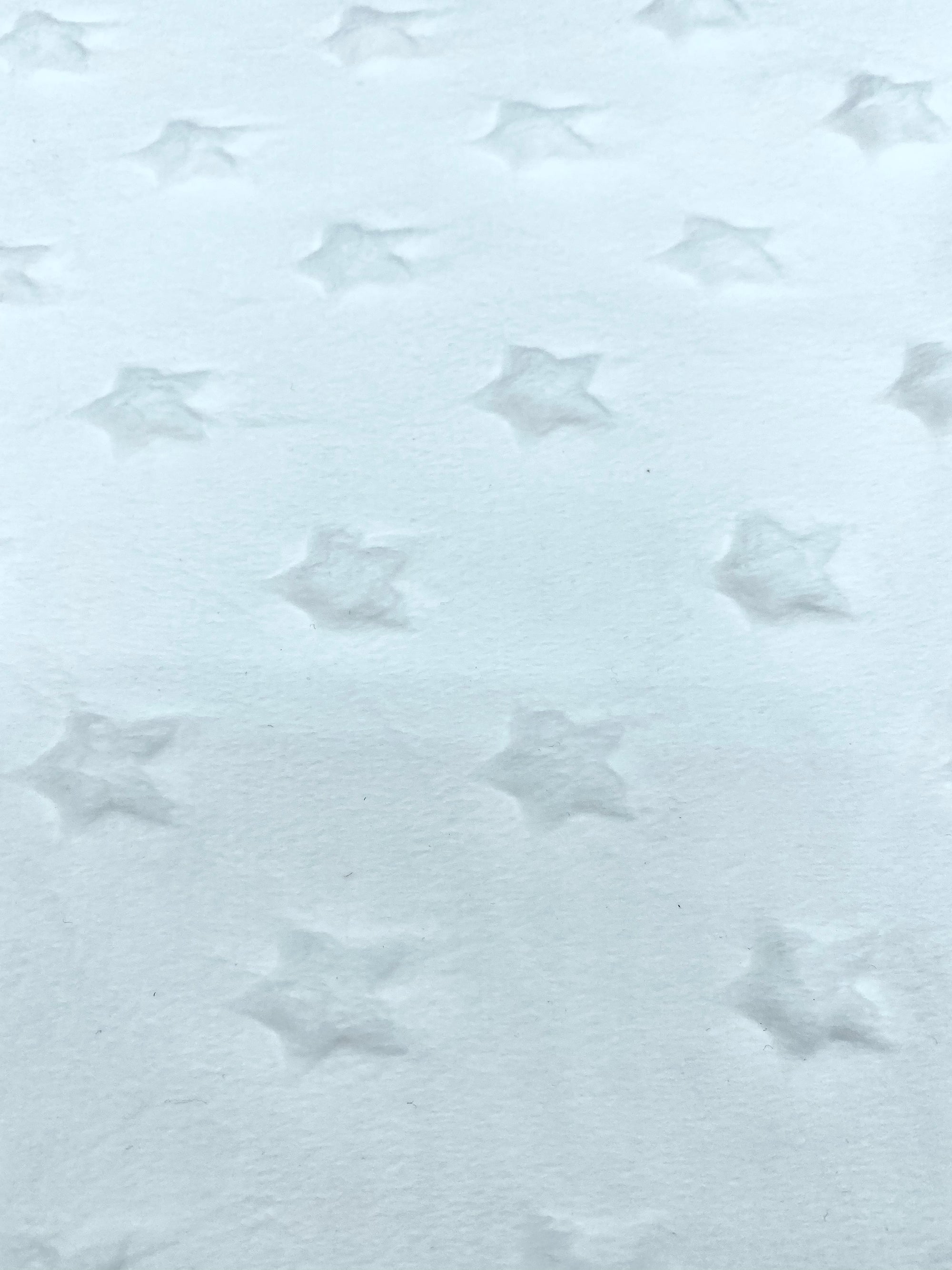 MINKY ESTRELLAS BLANCO CERTIFICADO OEKO-TEX