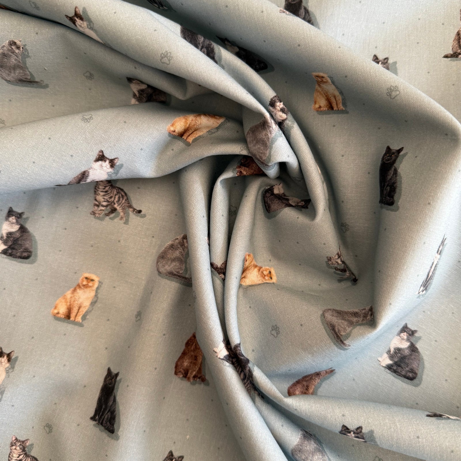 TELA ALGODON MUST GATOS