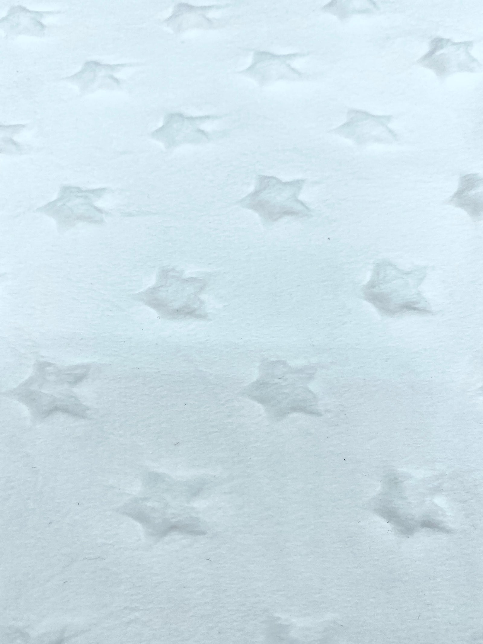 MINKY ESTRELLAS BLANCO CERTIFICADO OEKO-TEX